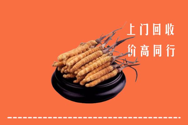 城厢区回收散虫草