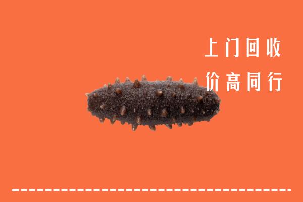 城厢区回收海参