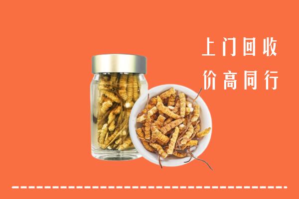 城厢区回收冬虫夏草