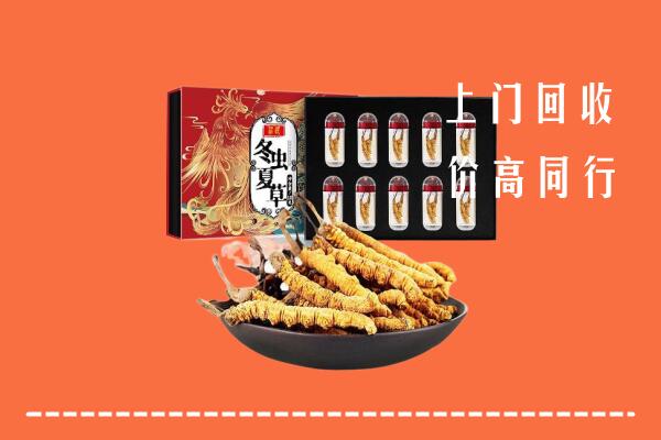 城厢区回收虫草